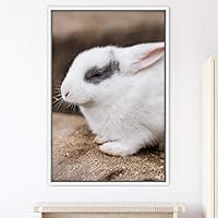 Framed Canvas Wall Art Bunny Animals Bedroom Expressive Multicolor Photography Rabbit Rustic - 16x24 inches