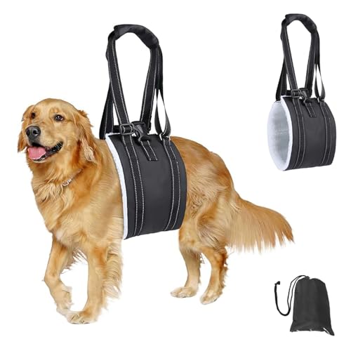 XFSRG Imbracatura Cani Imbracatura Zampe Posteriori Regolabile Ripristinare la Debolezza Nella Gamba Posteriore per Sostenere Cani Anziani Feriti e Disabili (Nero, S)