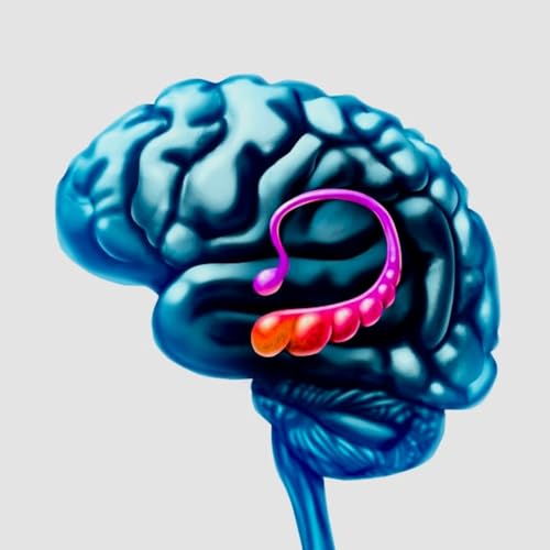 THE BRAIN - THE HIPPOCAMPUS.