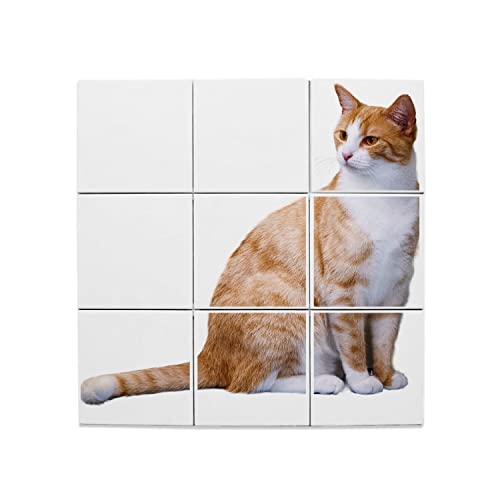 Carreaux céramique décoratifs chat de maison 15,2x15,2 cm pour revêtement mural de salle de bain