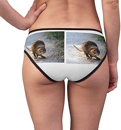 Coon Enjoying Panties, Coon Enjoying Underwear, Briefs, Cotton Briefs, Funny Underwear, Panties For Women