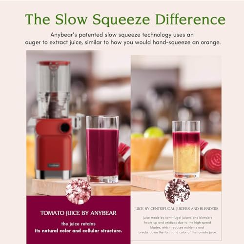 Automatic Cold Press Juicer Machine