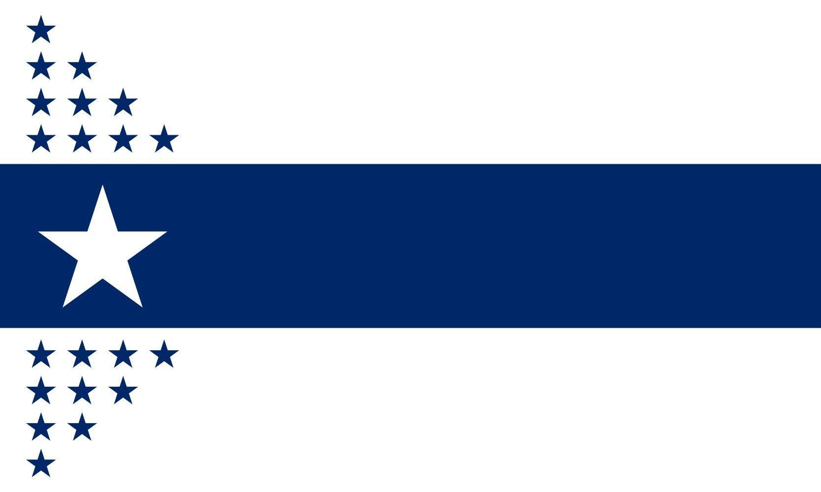 Drapeau Illinois Centennial grand format réplique historique 1918
