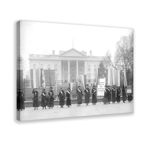 Impression sur toile de la protestation féministe à la Maison Blanche, cadre à suspendre 30x45 cm
