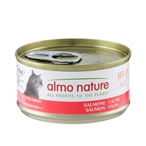 Almo Nature HFC Jelly Megapack, Nourriture Humide pour Chats – Saumon (6 boîtes de 70 g)