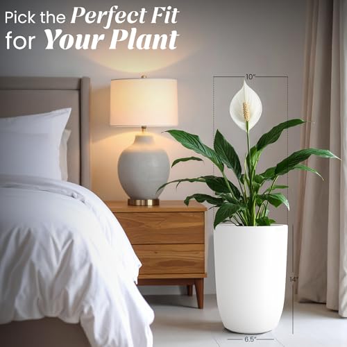 Image of YUCCABE ITALIA FOXB TPC 14 INCH Pots for Plants Highly Durable Polymers Lightweight Indoor Outdoor Plant Pots, Flower Pot Gamla Tree Planter Container Planters for Living Room, Balcony, Garden