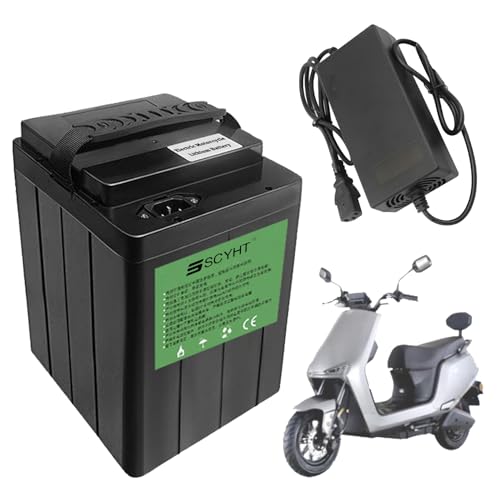 SSCYHT Lithium Battery 60V 30Ah 25Ah Replacement Battery 48V 20Ah Rechargeable Batteries 72V Electric Motorcycle Batteries with Charger and Handle,48v30ah