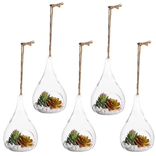Juvale Teardrop Hanging Glass Terrarium - Air Plant Holder & Succulent Planter - Tea Light Candle Holder & Glass Globe for Air Plants - Pack of 5-3 x 5.5 in