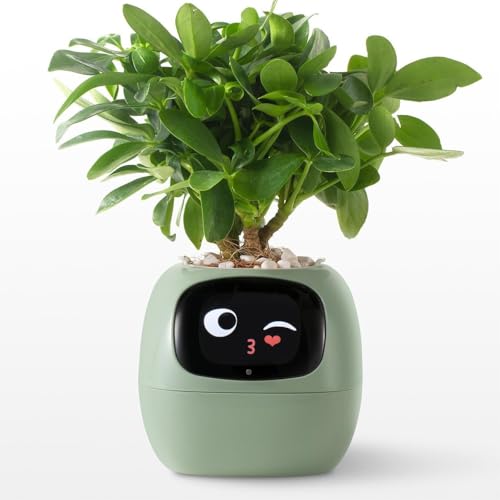 OUSEITECH Linda Maceta Inteligente Interactiva, Multifuncional, Inteligente, Macetas...