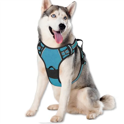 BVEOYPET Dog Harness,Adjustable Soft Padded Dog Vest with 2 Leash Clips,No-Pull Pet Harness with 2 Snap Buckles,Reflective No-Choke Pet Oxford Vest for Small Medium Large Dogs (Blue, XL)