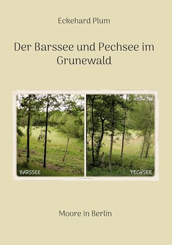 Der Barssee und Pechsee im Grunewald: Moore in Berlin