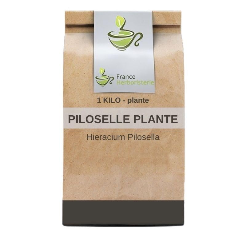 Kräutertee Piloselle Pflanze 1 KILO Hieracium pilosella.