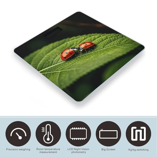 Báscula Digital de Baño con Vidrio Templado miniatura 3