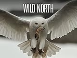 Wild North