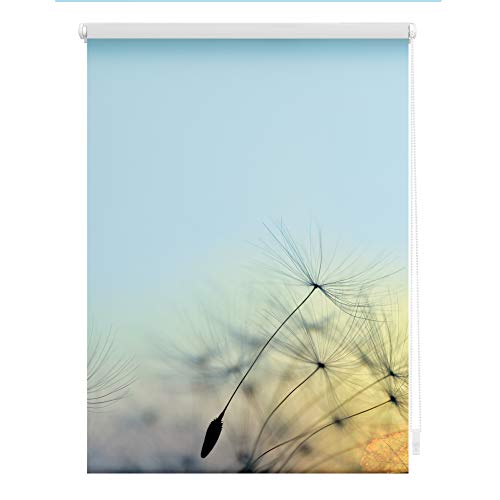 Lichtblick Klemmfix Tageslicht-Rollo mit Motiv, ohne Bohren, Blickdicht, Seitenzugrollo, Made in Germany, Pusteblume - Blau 100 x 150 cm (B x L)