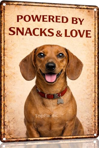 TopPacific Funny Dachshund Powered by Snacks Love Tin Sign 12x8 Inch Vintage Metal Wall Art Retro Humor for Bathroom Kitchen Bedroom Room Home Gift Toilet Decoration(55788)
