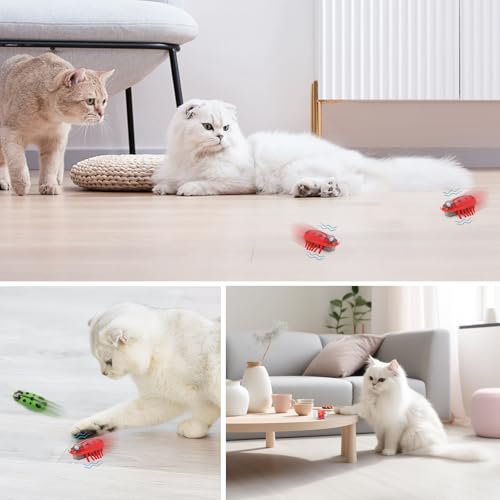4 Stück Mini Käfer, Elektrische Insekten, Käfer, Kakerlaken, Marienkäfer, Mäuse, ladybug, Maulwürfe, Elektrisches Haustier Marienkäfer Spielzeug für Katzen und Hunde, Insekten Spiel für Kinder