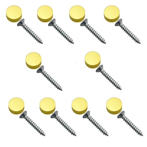 Caishun 10PCS 9.2mm Inner Diameter Metal Decorative Cap Nails Mirror Screw Sign Holder Advertising Peg Fastener Hardware for Mirror Coffee Table Bathroom Panels Wardrobes