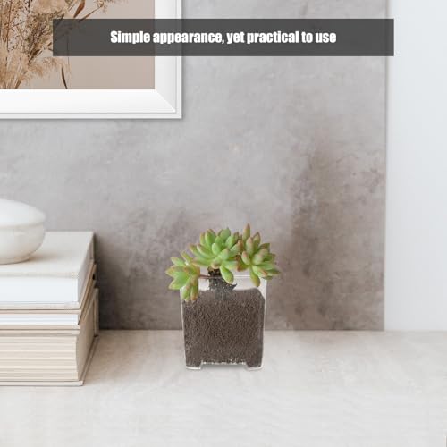 Pots à orchidées transparents avec drainage et aération pour plante