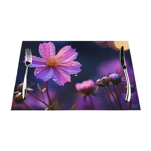 Set de table thermorésistant et antidérapant PVC x6 - 6