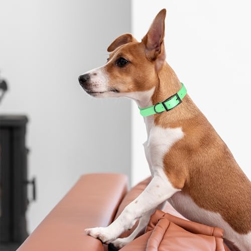 Image of Dogline Biothane Waterproof Dog Collar Strong Coated Nylon Webbing with Black Hardware Odor- Proof for Easy Care Easy to Clean High Performance Fits Small Medium or Large Dogs, Sea Foam Green
