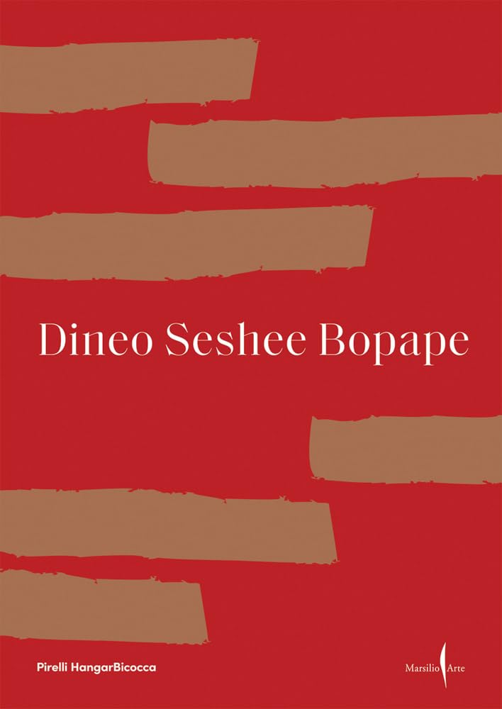 Livre Dineo Seshee Bopape en anglais art contemporain