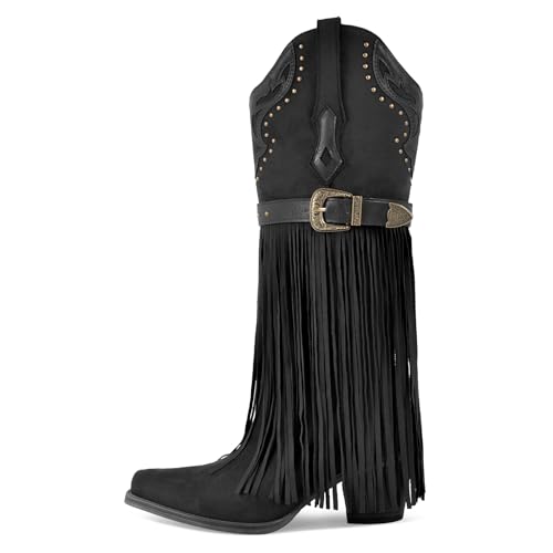 Richealnana Women's Fringe Pointed Toe Block Heel Pull On Metal Buckle Western Cowboy Boots