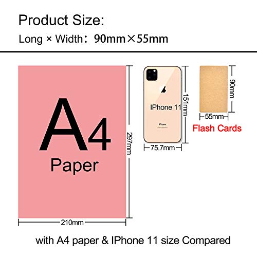 TOP-Pindu - Schede Flash, confezione da 6, 300