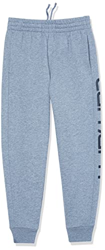 Carhartt Boys' Knit Long Loose Fit Pant2