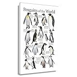 Penguin Wall Art Framed Artwork Canvas Animals Pictures Knowledge Wall Decor Modern Office Decor Educational Chart Poster Decorations Framed (16x24 inch) -  Busmko