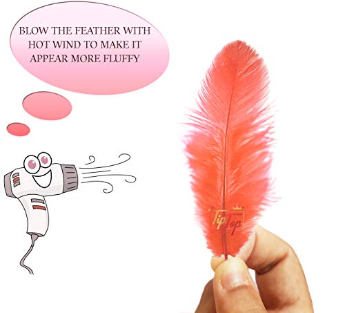 Image of Natural Dyed Feathers 10 cm (80 pieces) (Coral Peach)