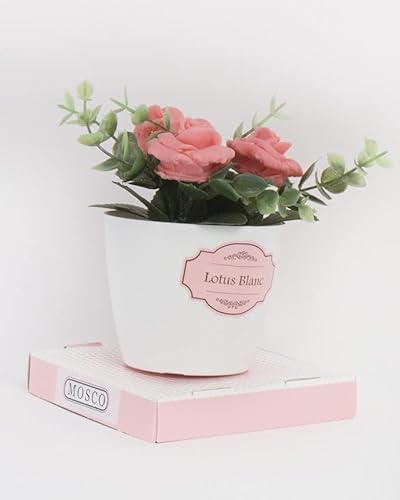 Mosco Paris - FLEURS MAISON COTON BLANC Cover