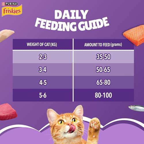 PURINA, Friskies Surfin' Favourites Adult Dry Cat Food, 1kg, Contains Mackerel, Tuna, Salmon & Sardine Flavours