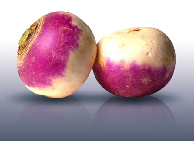 Graines De Navet 'Marteau' - Sachet De 150 Graines | Légume Racine, Semis De Mars à Septembre - 8
