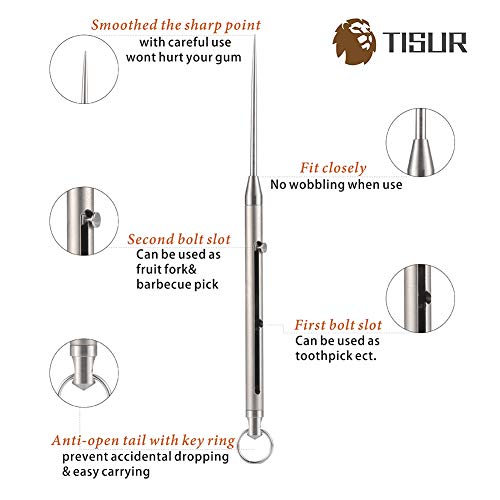 TISUR Titanium Bolt Integrated Toothpick and Holder Keychain Ultralight Travel Kits (Two slots/Gray)