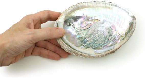 1 x bunte große Abalone-Schale, 10,2 – 11,4 cm, natürliche Verschmierschale zum Verbrennen von Salbei und Räucherstäbchen, Muscheln, zum Dekorieren und Präsentieren von Räucherstäbchenhaltern 1 x bunte große Abalone-Schale, 10,2 – 11,4 cm, natürliche Verschmierschale zum Verbrennen von Salbei und Räucherstäbchen, Muscheln, zum Dekorieren und Präsentieren von Räucherstäbchenhaltern
