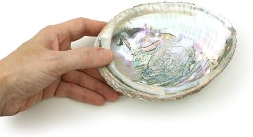 1Pc 4-4.5 Inch Colorful Large Abalone Shell Bowl Natural Smudge Bowl for Sage Burning and Incense Sea Shell Smudging Bowl for Decor and Display Incense Holders