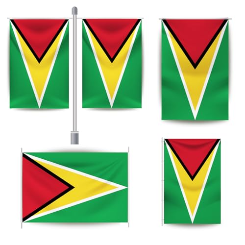 Drapeau de la Guyane résistant au vent avec 2 oeillets pour extérieur - 3