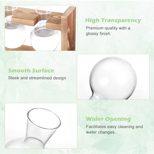 Fentar Ableger Pflanzen Glas, Propagation Station mit Vintage Holzsockel, 3Stk Kleine Vasen für Tischdeko Wohnkultur, Hydroponische Vase, Schön Vermehrungsstation Pflanzen für Hydrokultur Tischdeko