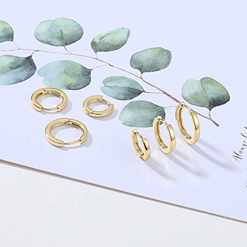 Micuco Small Hoop Earrings For Women 14K Gold Plated Hoop Huggie Earrings For Men Hypoallergenic Earrings Tiny Cartilage Ear Jewelry For Women 14K Gold Plated 8Mm 10Mm 12Mm #TOP3