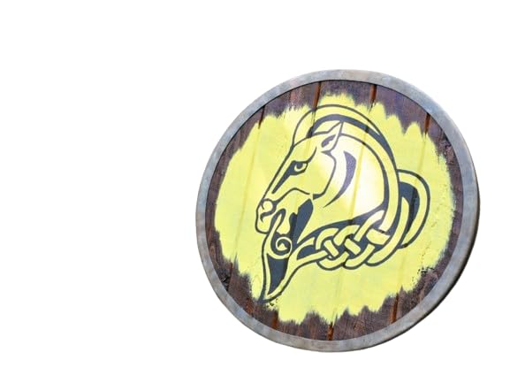 Generic Réplique de bouclier en acier, bois et cuir - Viking nordique - médiéval - Oblivion - Morrowind - Elder Scrolls - Métal et bois - Noir, noir, 61 cm