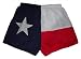 Texas Flag Adult Running Shorts