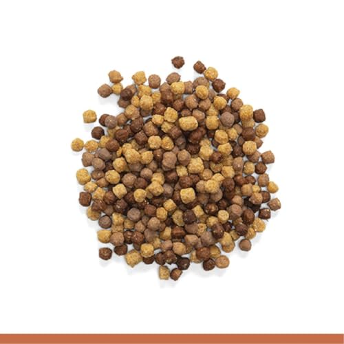 ZuPreem NutBlend Flavor with Natural Nut Flavour Medium Bird Food 907-gm