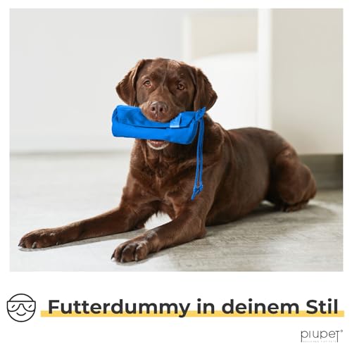 PiuPet® Futterbeutel Hunde I Befüllbarer Apportierbeutel für Hunde I Futterdummy Hundetraining I Futterbeutel Hundetraining I Futterbeutel Hundetraining klein (Blau)