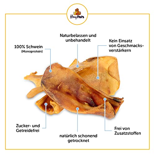 Hey Pets Schweineohren für Hunde & Welpen, Beste Hunde Leckerlis, Ideale Zahnreinigung, 100% natürlich, getreidefrei, Kauartikel, Kausnack (Beutel mit 10 Stück)