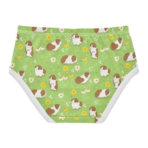 Girls' Underwear Guinea Pig Cotton Stretch Comfort Toddler Panties2