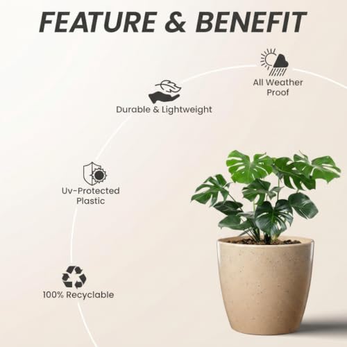 Image of YUCCABE ITALIA SHERA Stella 4 Inch Pack of 3 Piece Plastic Plant Pot for Home Decor Indoor Plant Pots for Living Room Plastic Flower Pot for Garden (Stone Beige, 10 INCH - 6 Pcs)