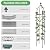 Garden Obelisk Trellis for Climbing Plants Outdoor 6.3 Feet Tall Rose Heavy Duty Metal Trellis Plant Support for Vines Clematis Flowers, Bronze