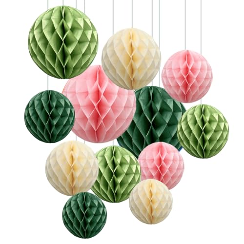 Image of ZOOYOO 12Pcs 6 inch 10 inch Honeycomb Balls Decorations Hanging Tissue Paper Pom Poms for Boho Wedding Birthday Party Baby Shower Garden Decorations(Sage Green Pink)