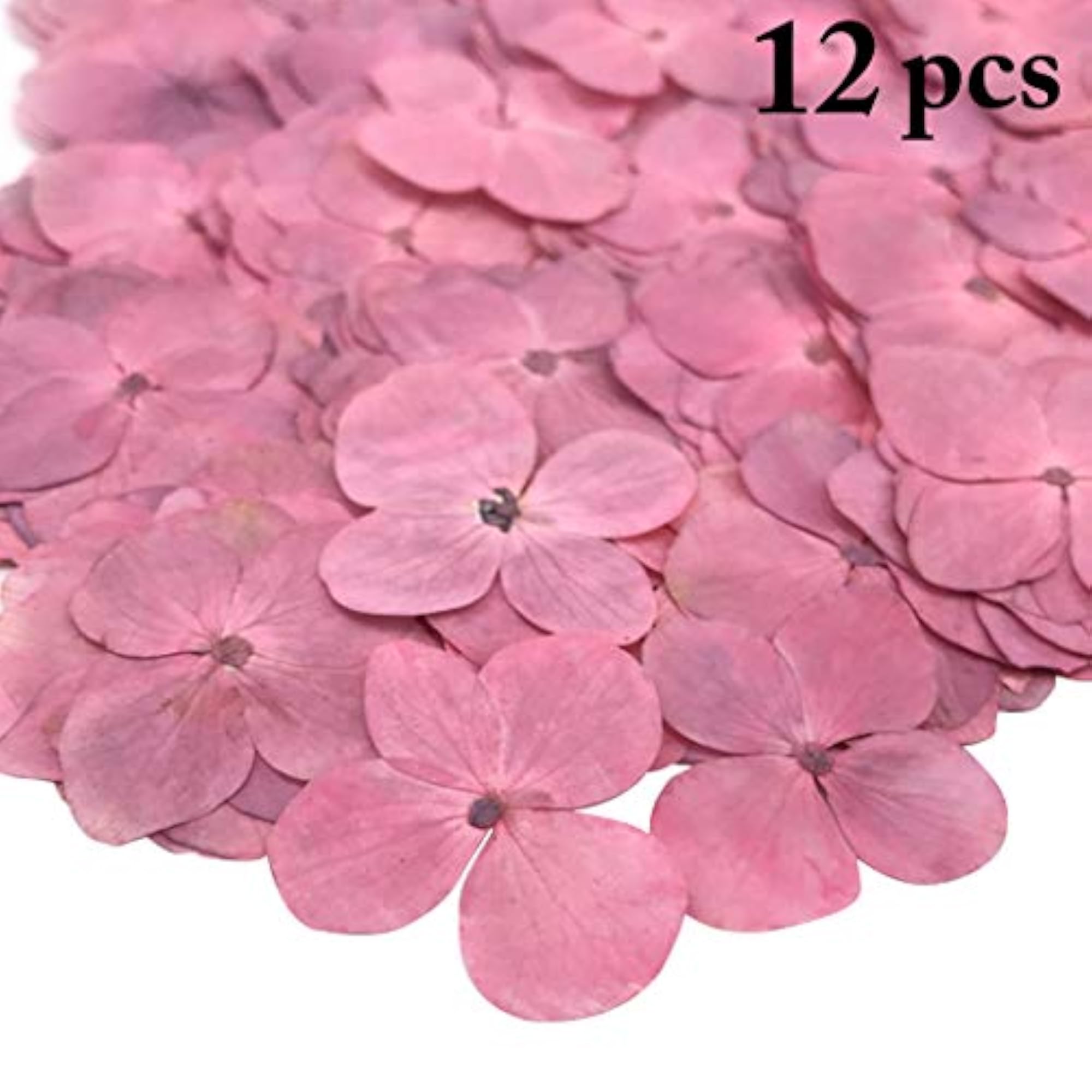 12PCS Pressed Flowers Natural DIY Flowers for Bookmark